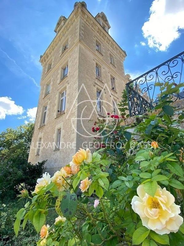 Château - 4 200 m² - 72 pièces