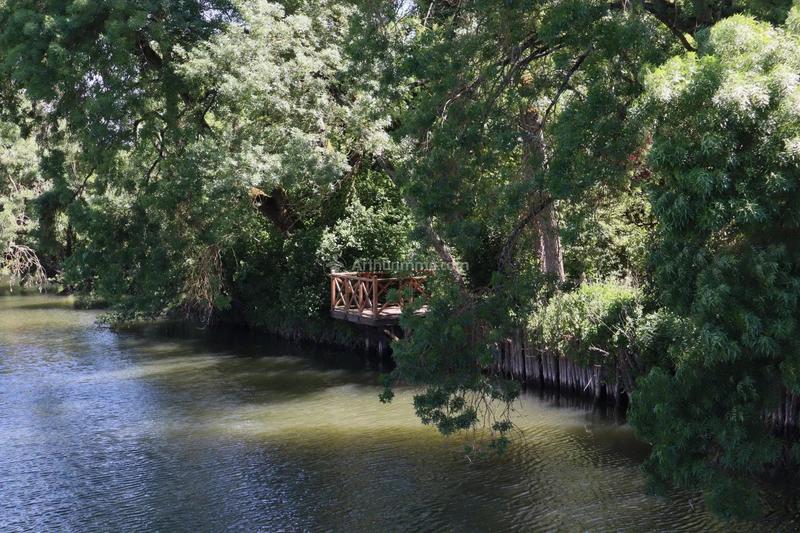 Maison - 131 m² - 5 pièces