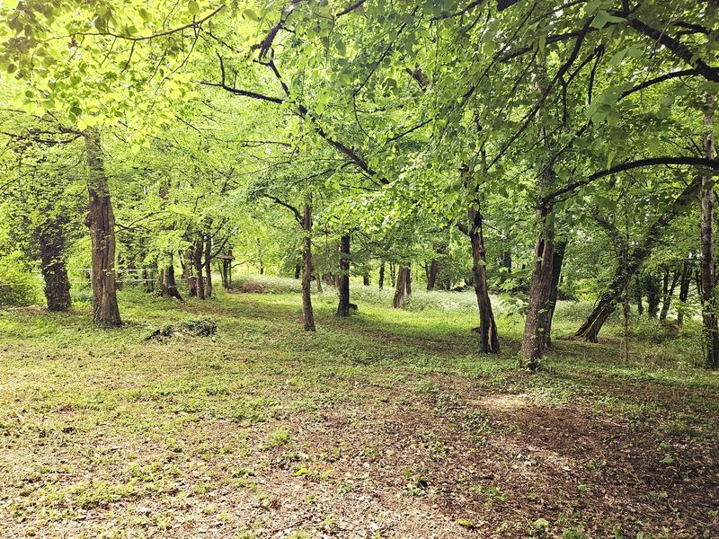 Maison de maîtres - 230 m² - 9 pièces