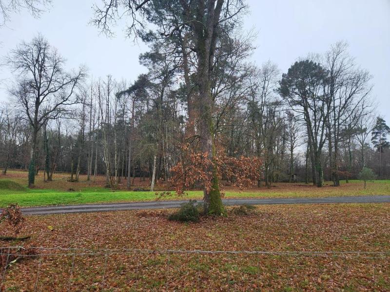 Terrain constructible - 1 250 m²