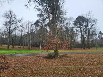 Terrain constructible - 1 250 m²