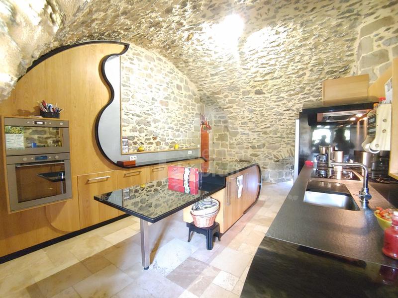 Château - 450 m² - 12 pièces