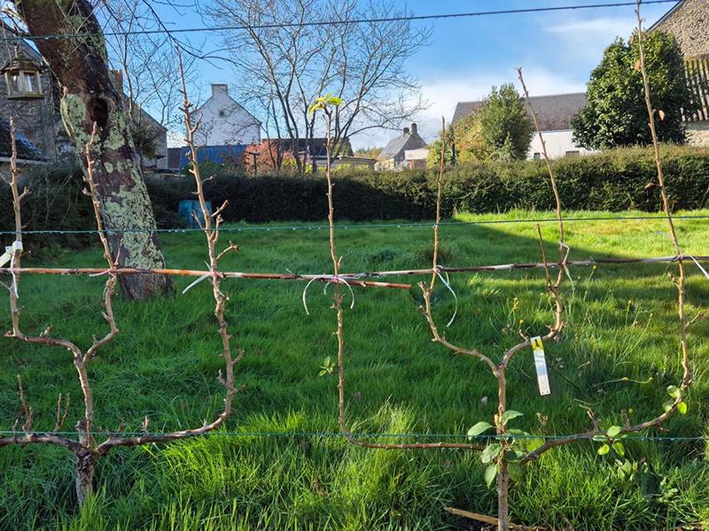 Maison - 63 m² - 4 pièces