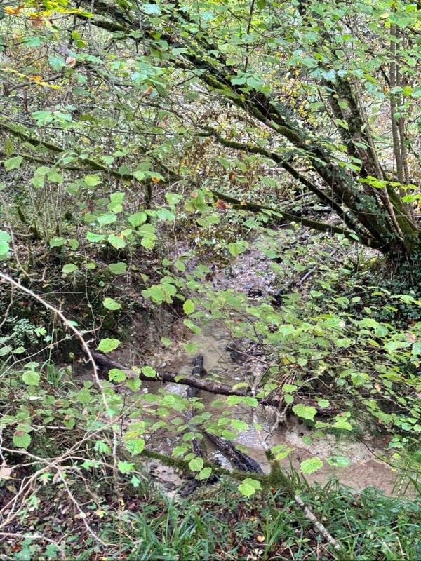 Terrain - 82 016 m²