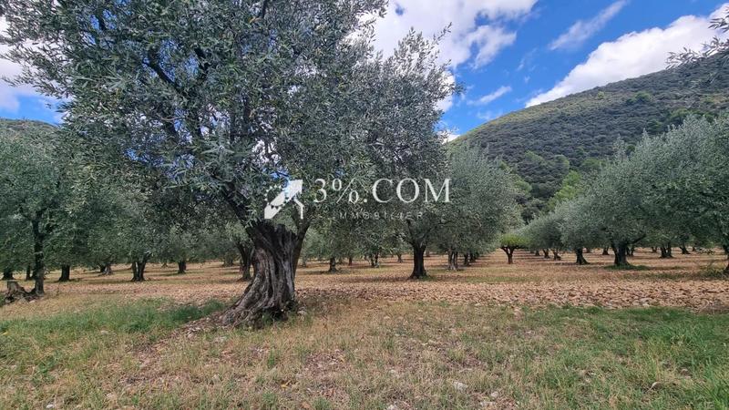 Propriété - 450 m² - 16 pièces