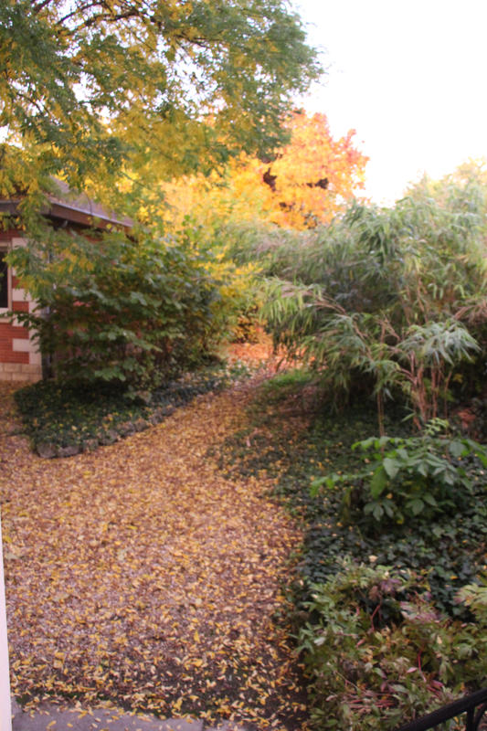 Propriété - 523 m² - 10 pièces