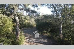 Terrain - 81 150 m²