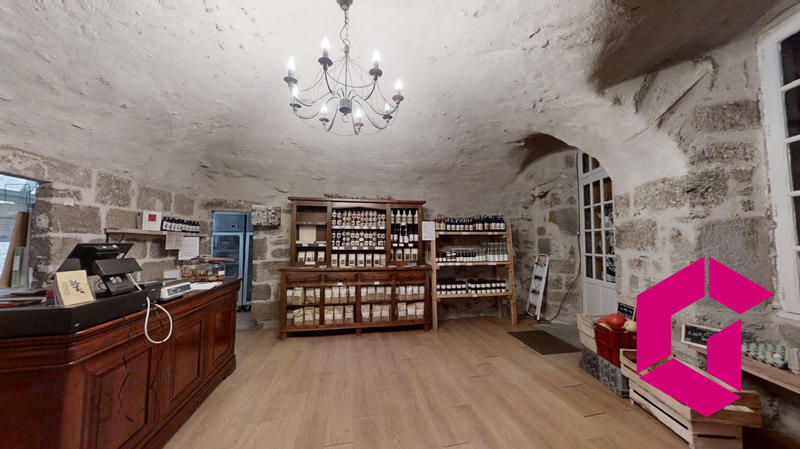 Maison - 552 m² - 15 pièces