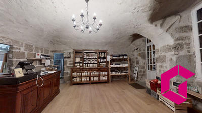 Maison - 552 m² - 15 pièces