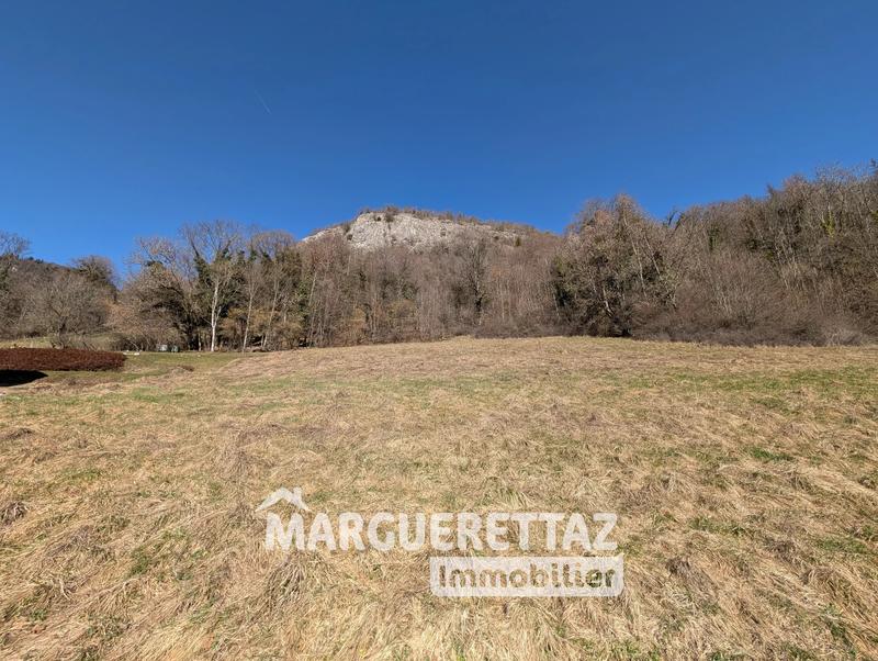 Terrain - 3 206 m²