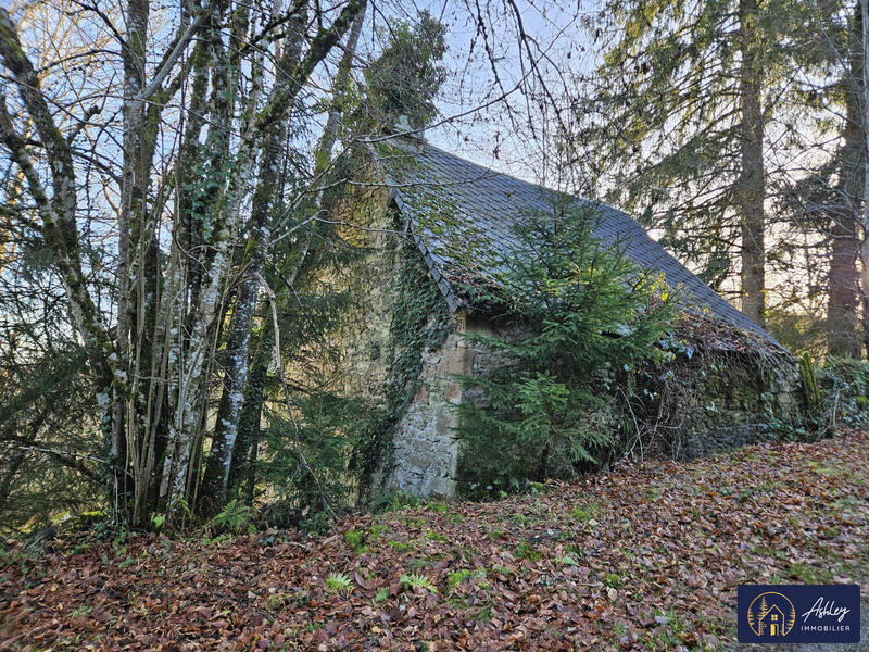 Maison ancienne - 30 m² - 1 pièce