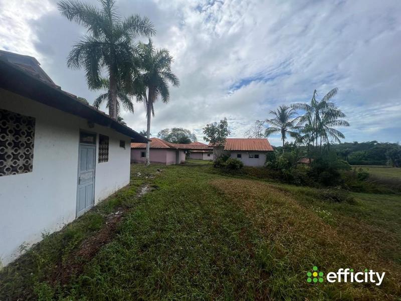 Immeuble - 1 429 m²