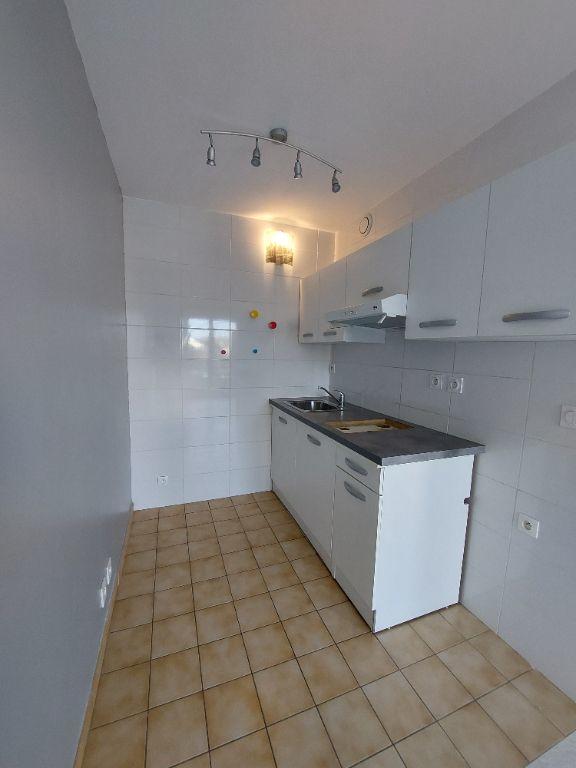 Studio - 30 m² - 1 pièce