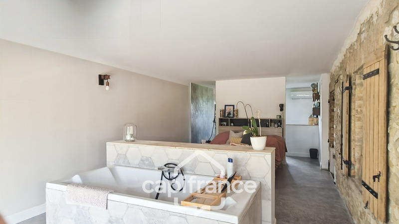 Mas - 310 m² - 10 pièces