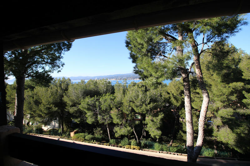 Appartement - 28 m² - 1 pièce