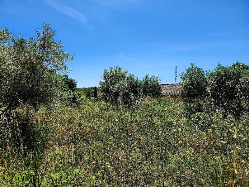 Terrain constructible - 1 490 m²