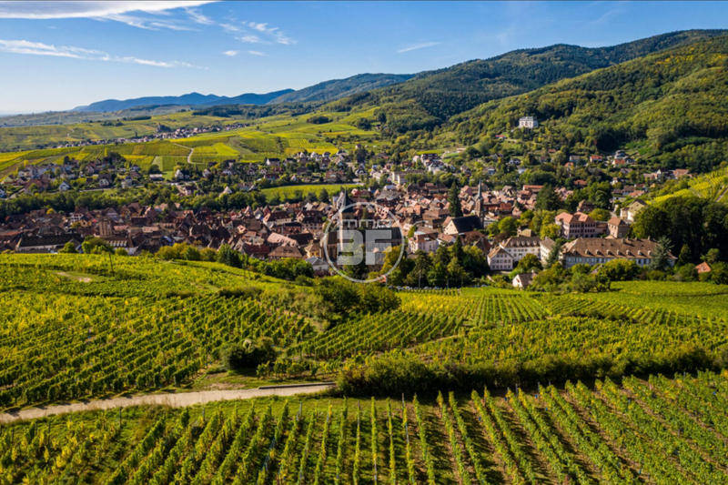 Duplex - 114 m² - 4 pièces