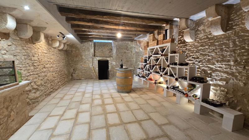 Maison de maîtres - 396 m² - 10 pièces