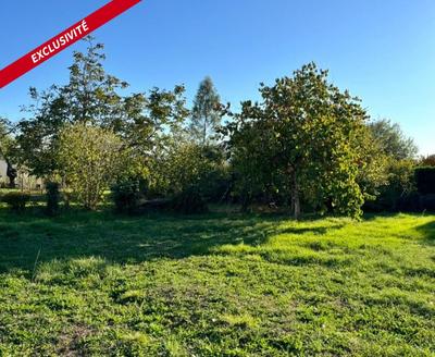 Terrain constructible - 870 m²
