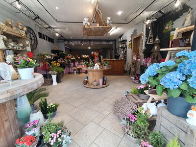 Maison - 230 m² - 5 pièces