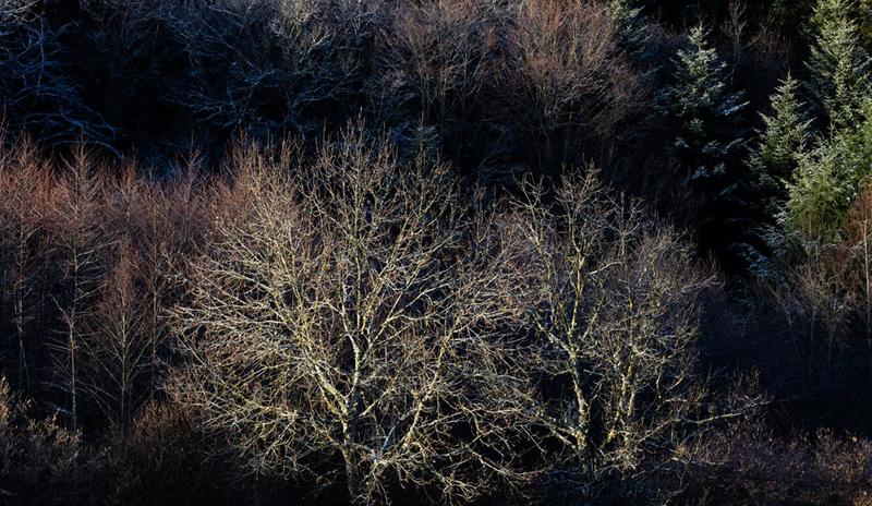 Terrain constructible - 865 m²