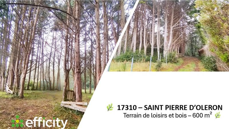 Terrain - 605 m²