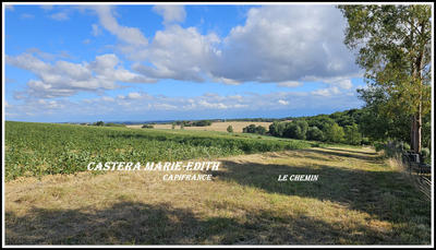 Terrain constructible - 1 503 m²