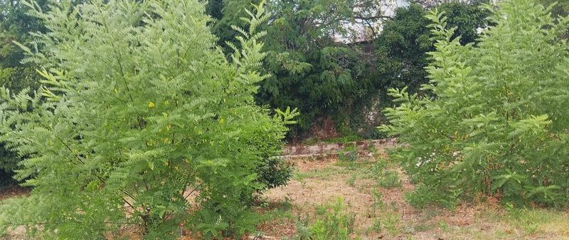 Terrain constructible - 850 m²