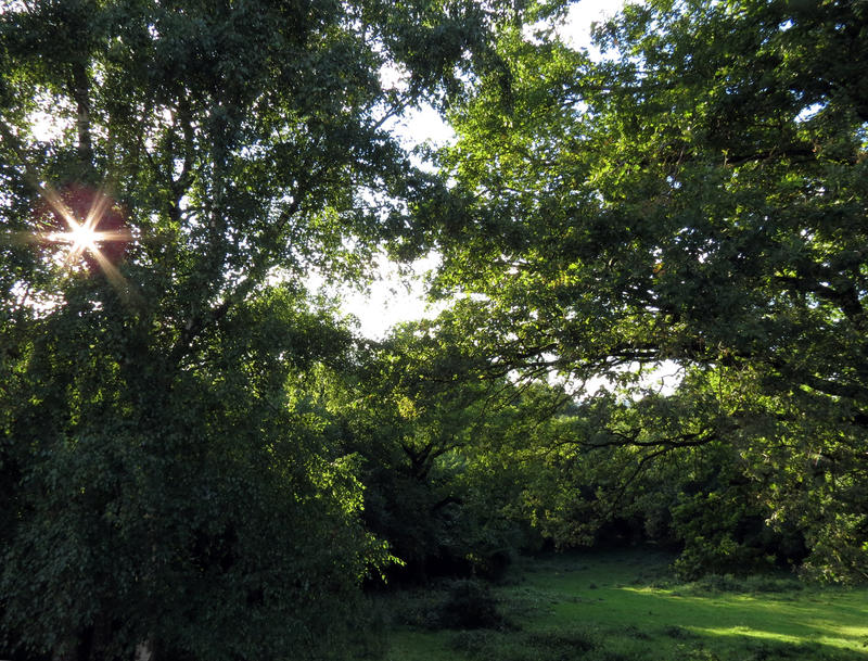 Maison - 70 m² - 5 pièces