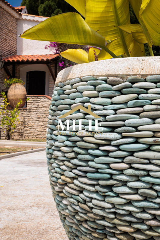 Villa - 350 m² - 8 pièces