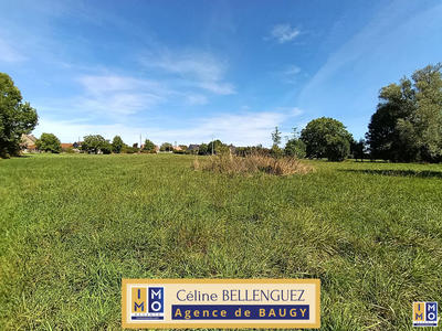 Terrain - 10 125 m²