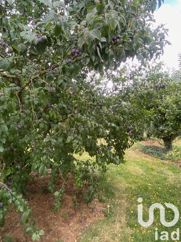 Maison - 133 m² - 5 pièces