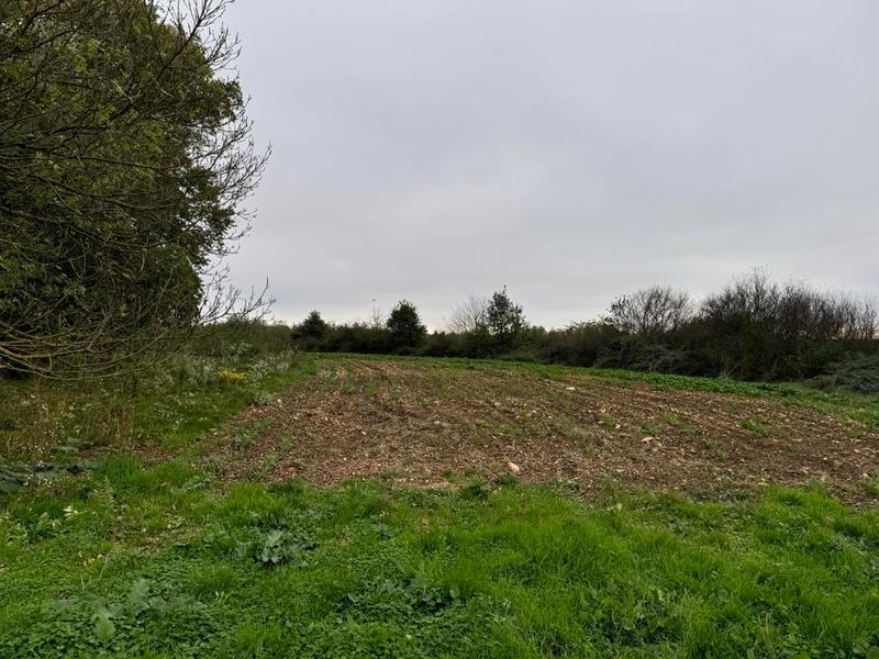 Terrain - 98 000 m²