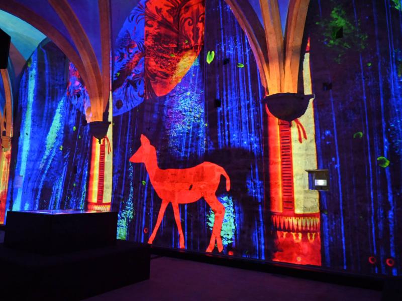 Chartres, 1000 ans d’éclat - visite immersive