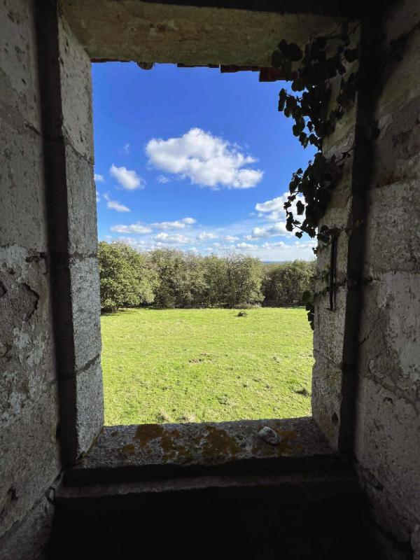 Propriété - 150 m² - 5 pièces