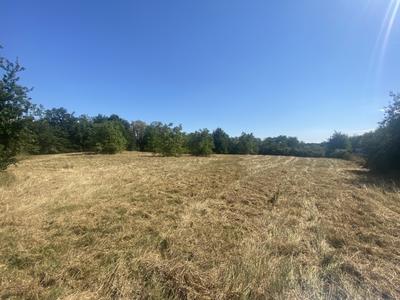 Terrain - 11 543 m²