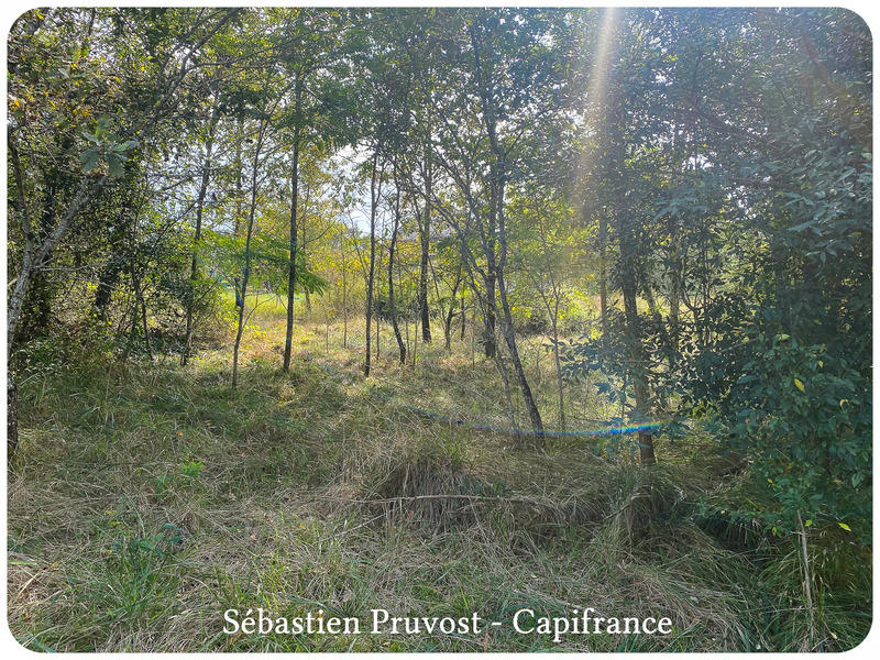 Terrain constructible - 1 700 m²