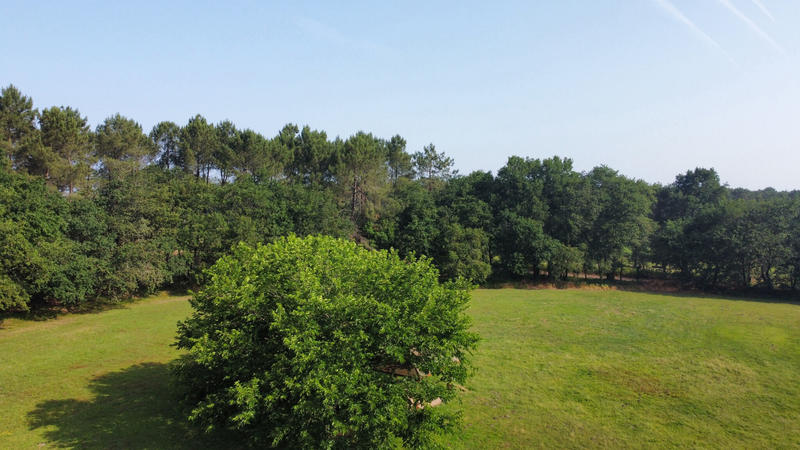 Maison - 587 m² - 16 pièces