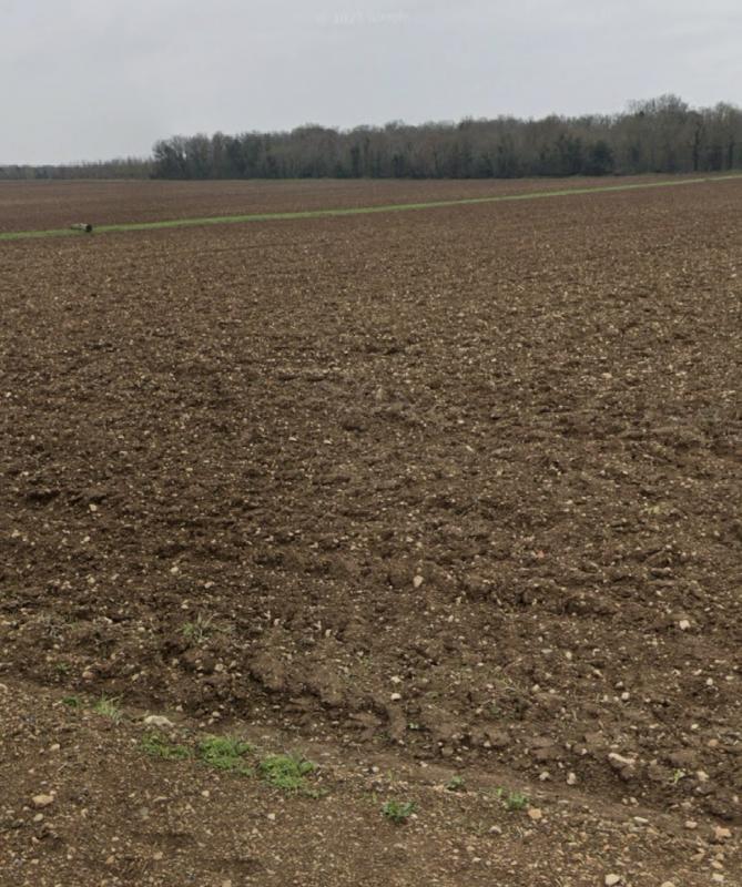 Terrain constructible - 315 m²