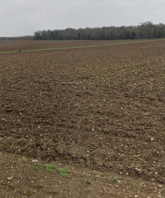 Terrain constructible - 315 m²