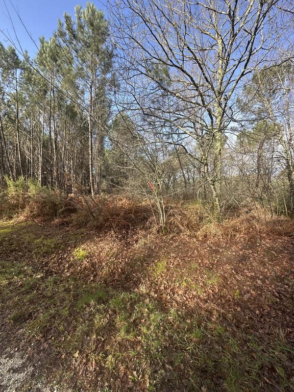 Terrain de loisirs - 18 505 m²