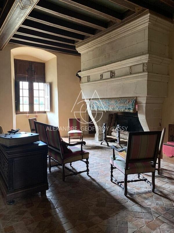 Château - 1 100 m² - 19 pièces