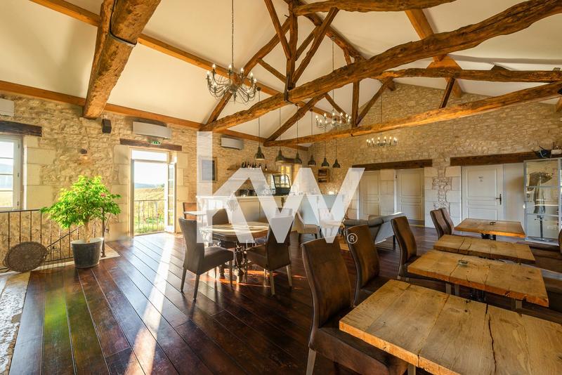 Propriété - 884 m² - 15 pièces