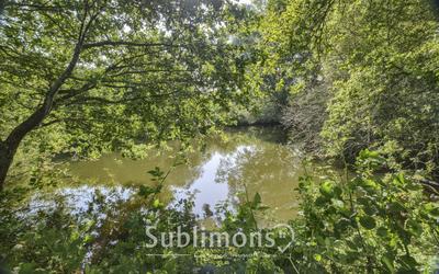 Ferme - 377 m² - 5 pièces