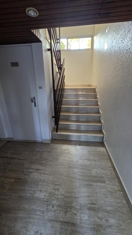 Appartement - 40 m² - 1 pièce