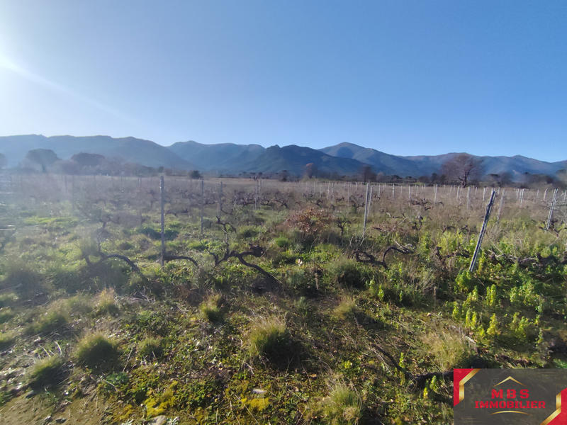 Terrain agricole - 18 000 m²