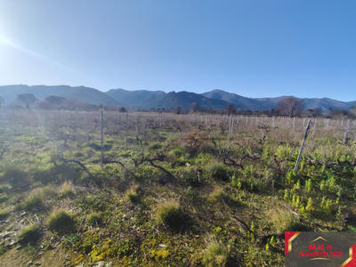 Terrain agricole - 18 000 m²