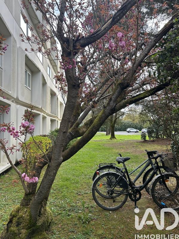 Studio - 22 m² - 1 pièce