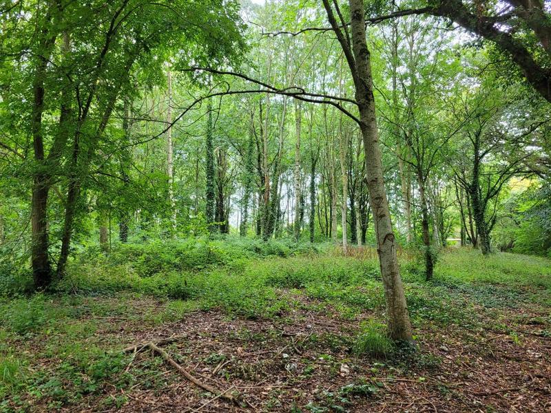 Terrain agricole - 11 063 m²