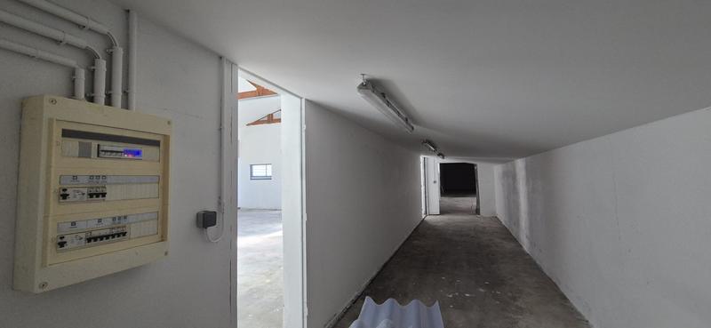 Entrepôt - 252 m² - 4 pièces